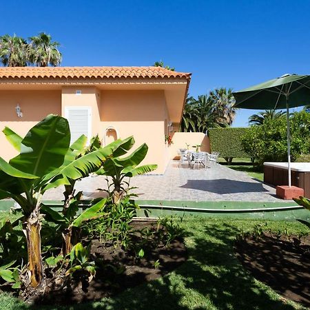 Finca La Gaviota - Los Limoneros Icod De Los Vinos Dış mekan fotoğraf