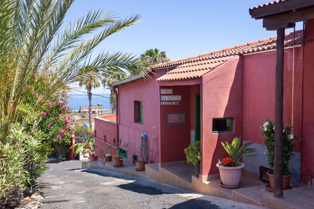 Finca La Gaviota - Los Limoneros Icod De Los Vinos Dış mekan fotoğraf